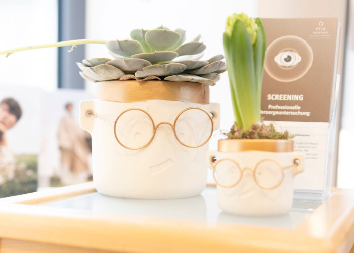 Detail des Ladenraums bei Optik Plüschke